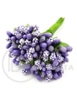 Тичинки лилави 12 броя 181134 