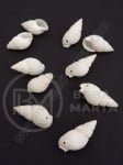 Морски раковини 19~25x8~12мм отвор 1мм 1пак 40гр ~60бр 355243
